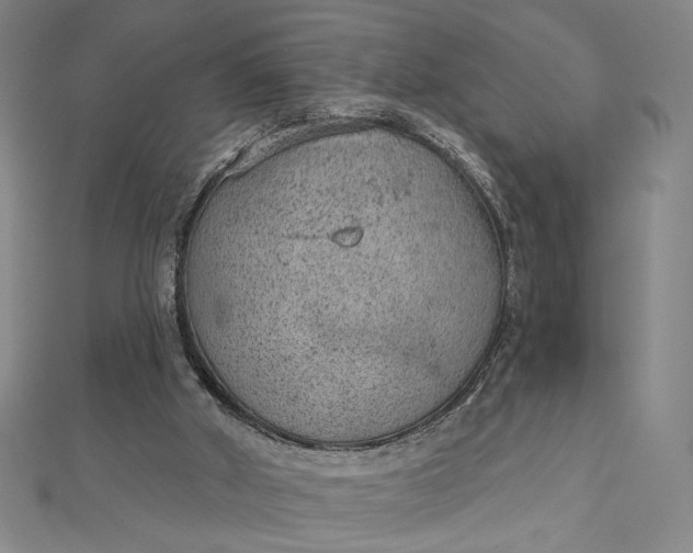 X0000112780010200909031637