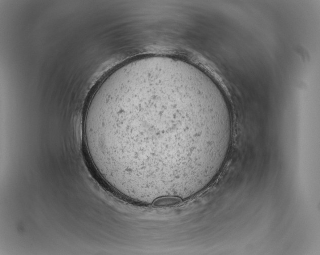 X0000112780011200909031637