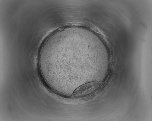 X0000112780012200909031637