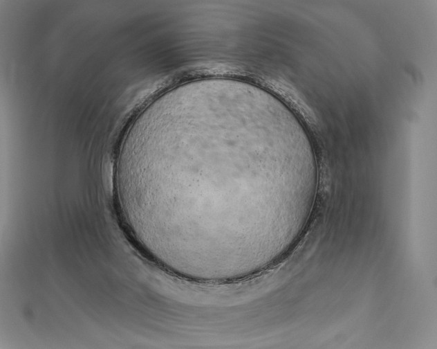 X0000112780014200909031637