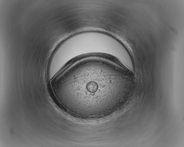 X0000112780015200909031637