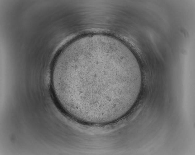 X0000112780016200909031637