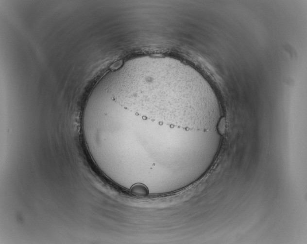 X0000112780017200909031637