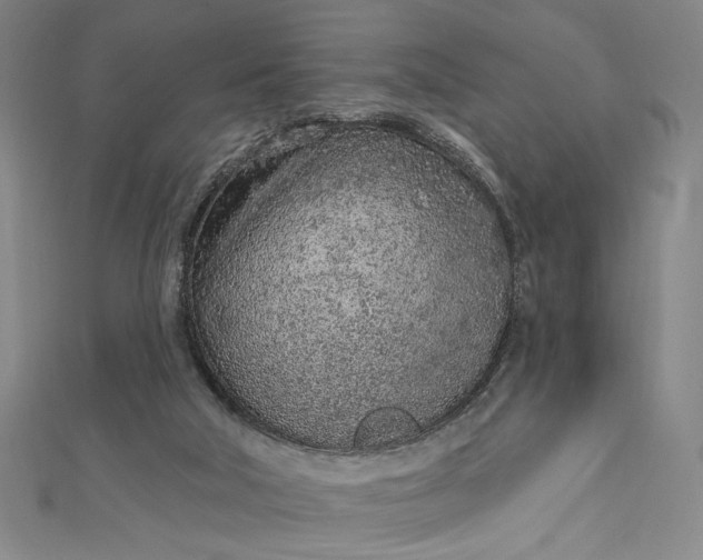 X0000112780018200909031637