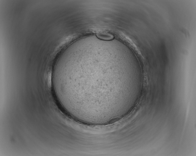 X0000112780019200909031637