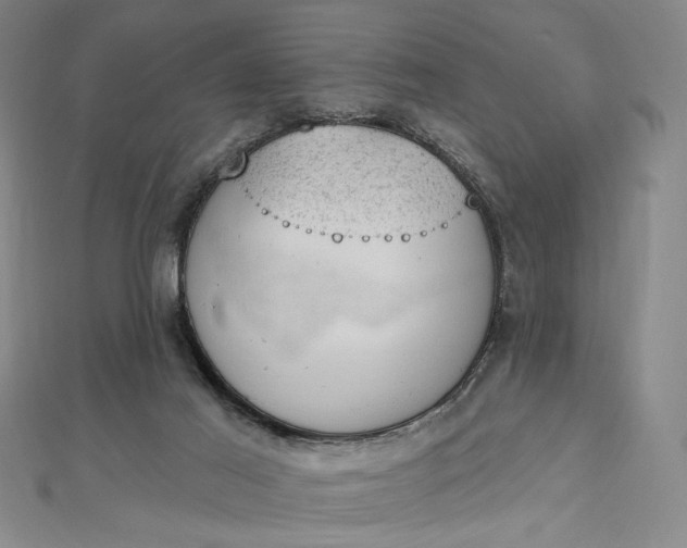 X0000112780021200909031637