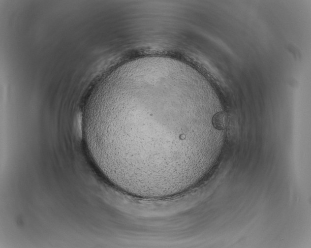 X0000112780022200909031637