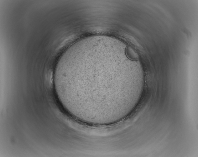 X0000112780024200909031637