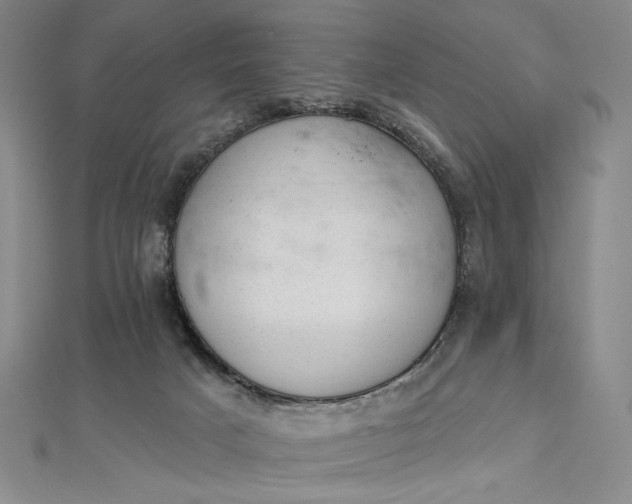 X0000112780025200909031637