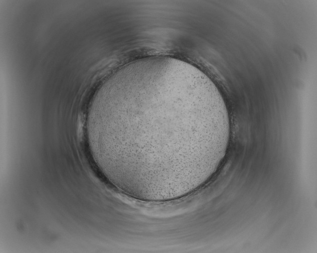 X0000112780026200909031637