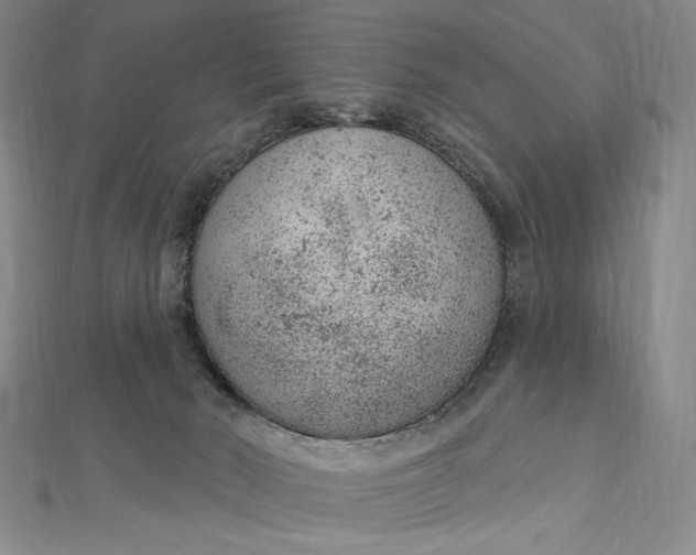 X0000112780030200909031637