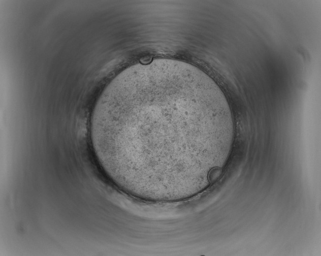 X0000112780032200909031637