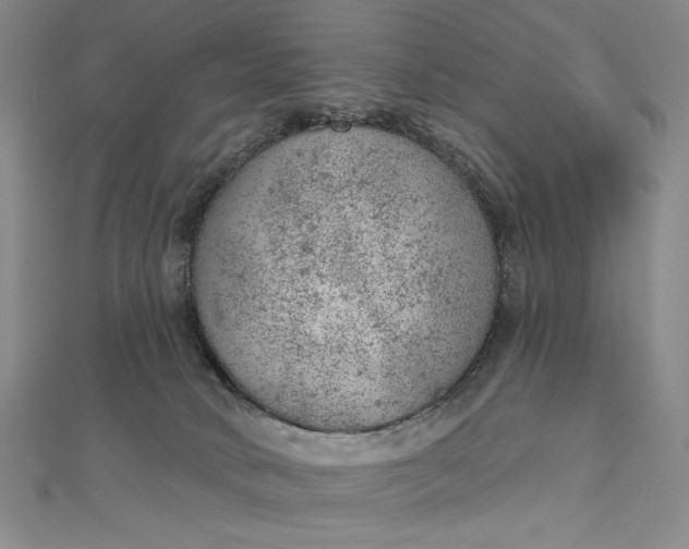 X0000112780034200909031637