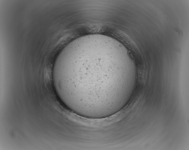 X0000112780035200909031637