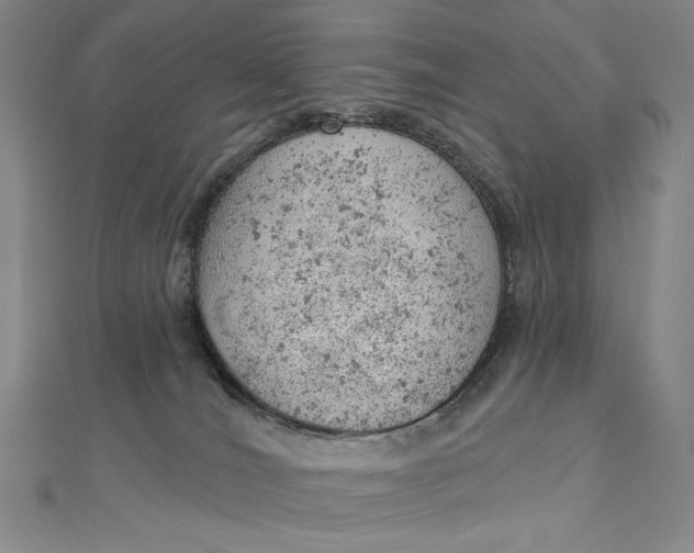 X0000112780036200909031637