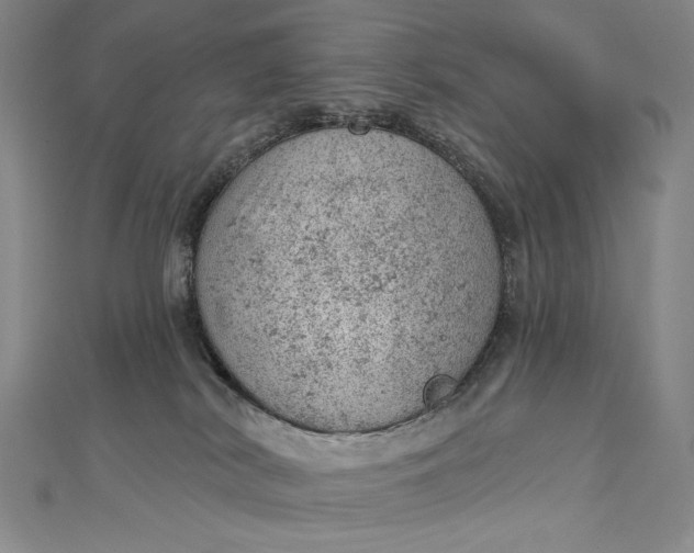 X0000112780038200909031637