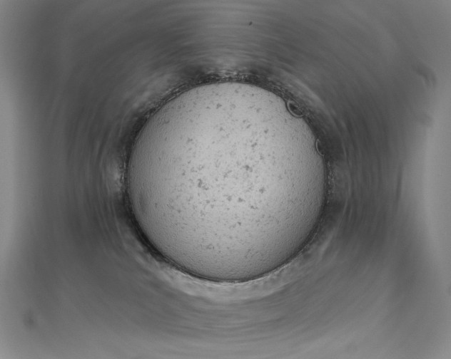 X0000112780039200909031637