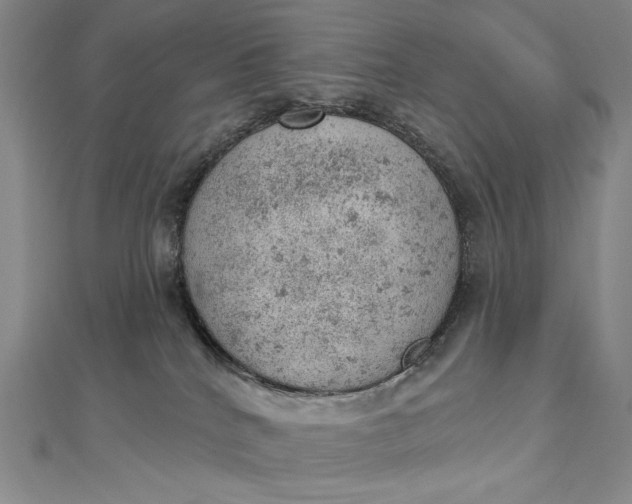 X0000112780040200909031637