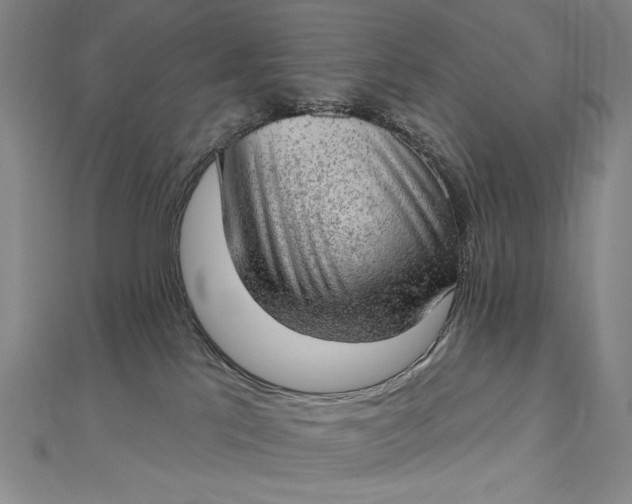 X0000112780041200909031636