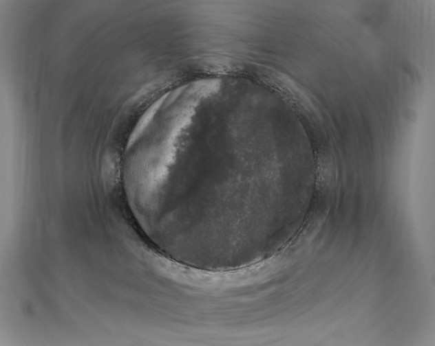 X0000112780043200909031636