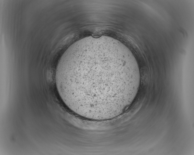 X0000112780044200909031636