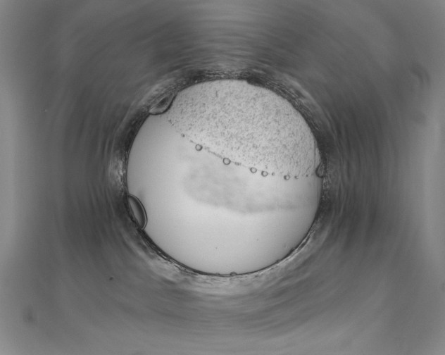 X0000112780045200909031636