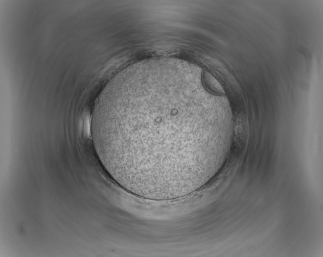 X0000112780046200909031636