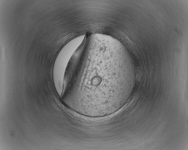 X0000112780047200909031636