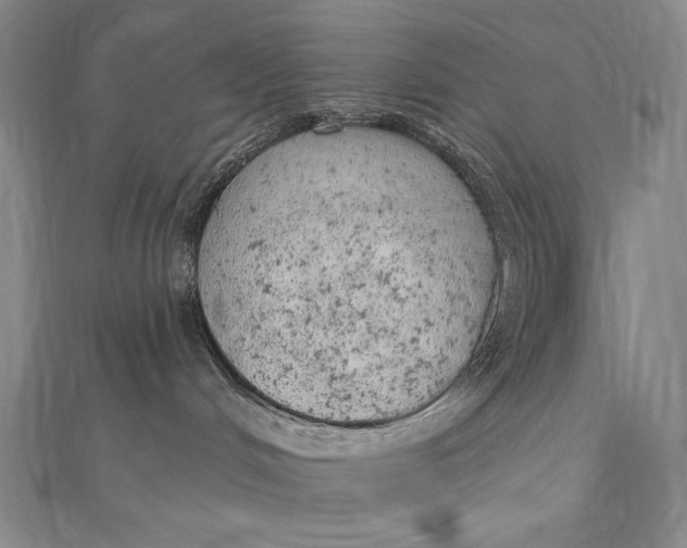 X0000112780048200909031636