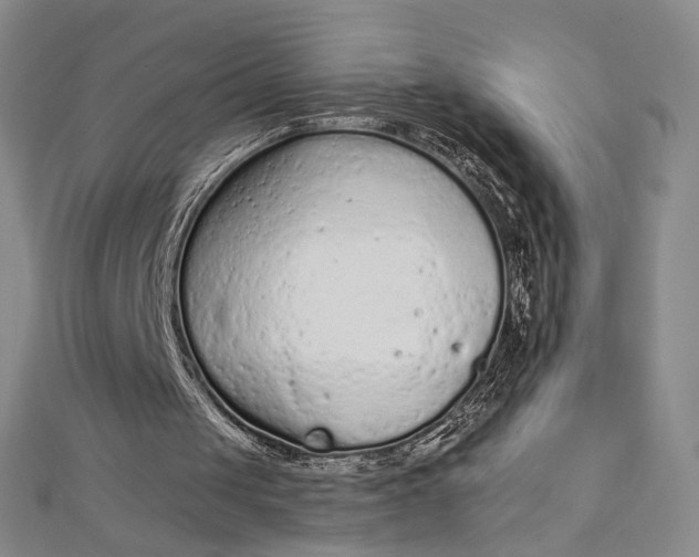 X0000112780049200909031636