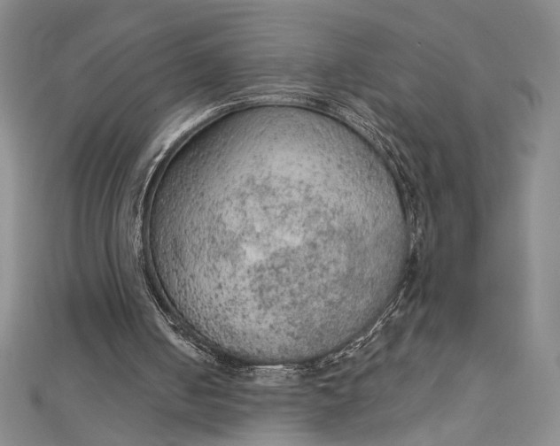 X0000112780050200909031636