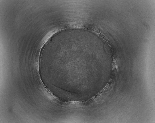 X0000112780052200909031636