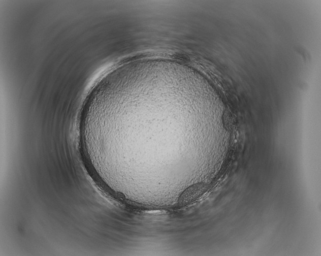 X0000112780053200909031636