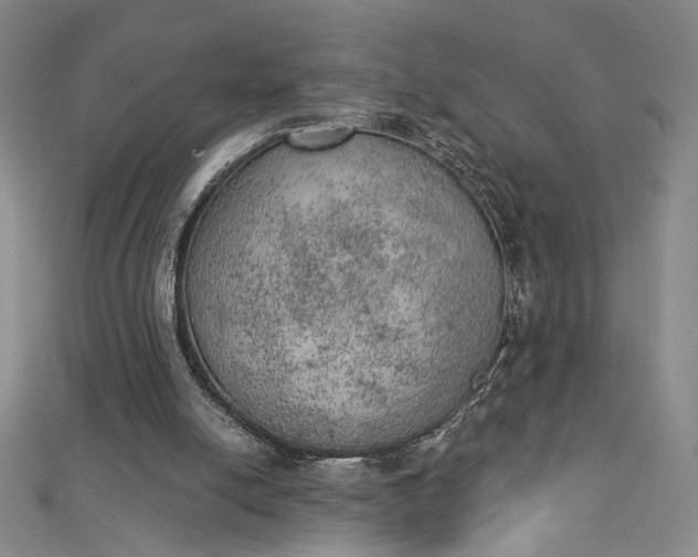 X0000112780054200909031636