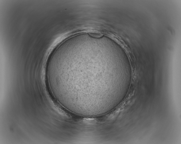 X0000112780055200909031636