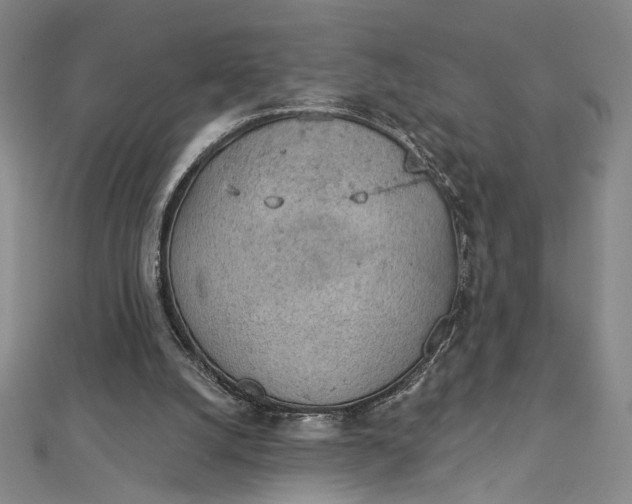 X0000112780056200909031636