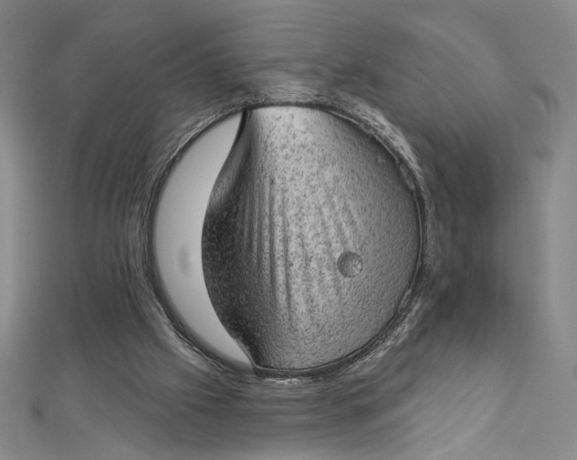 X0000112780057200909031636