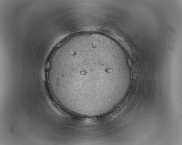 X0000112780060200909031636