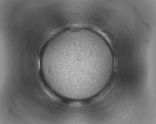 X0000112780061200909031636