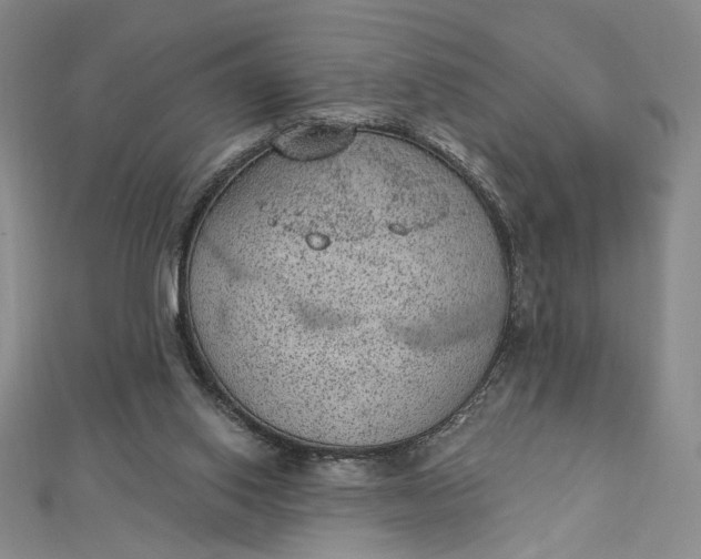 X0000112780062200909031636