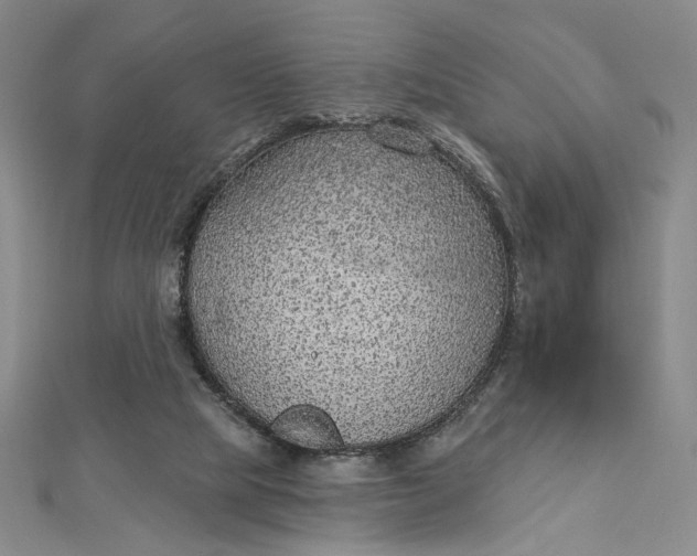 X0000112780065200909031636