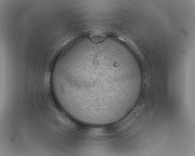 X0000112780066200909031636