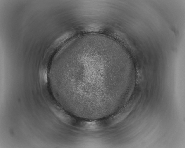 X0000112780068200909031636