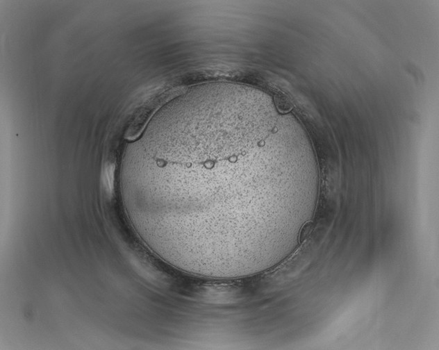 X0000112780070200909031636