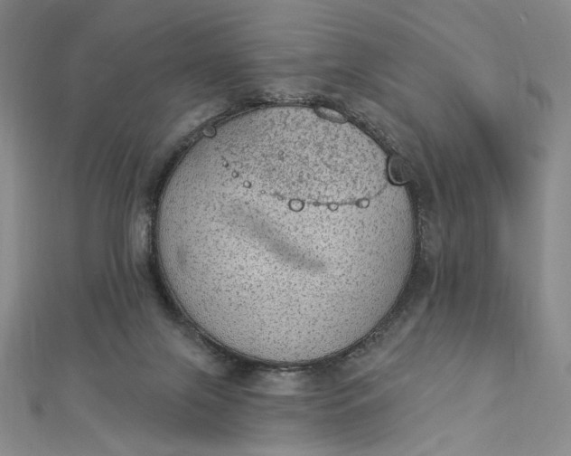 X0000112780071200909031636