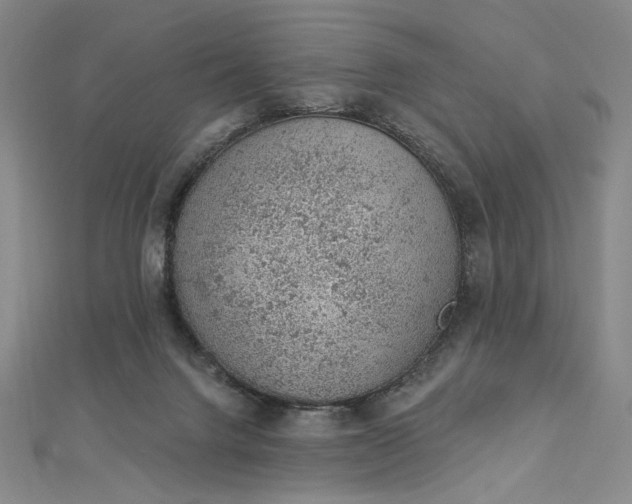 X0000112780072200909031636