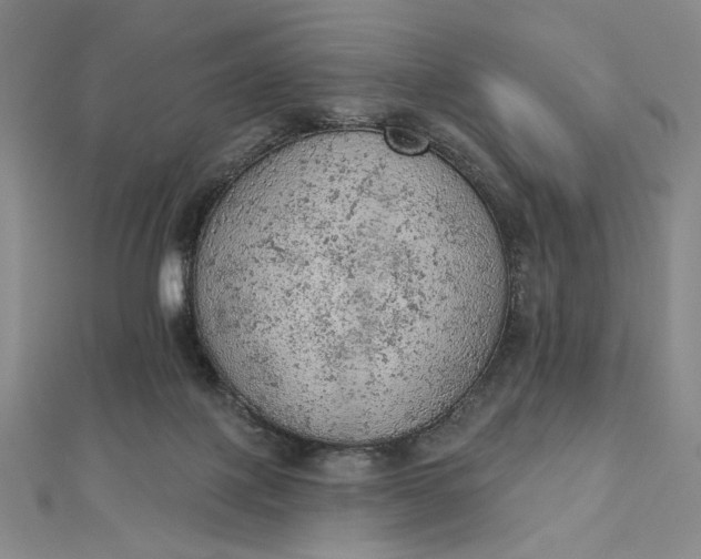 X0000112780075200909031636