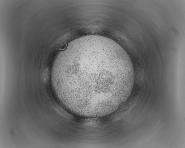 X0000112780077200909031636