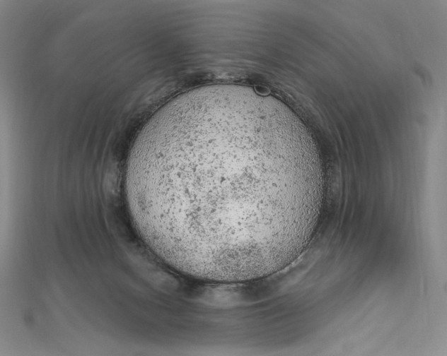 X0000112780078200909031636