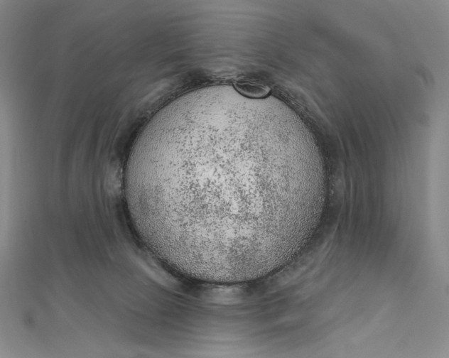 X0000112780081200909031636